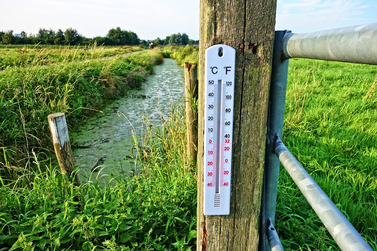 Celsiusgraden im Traum