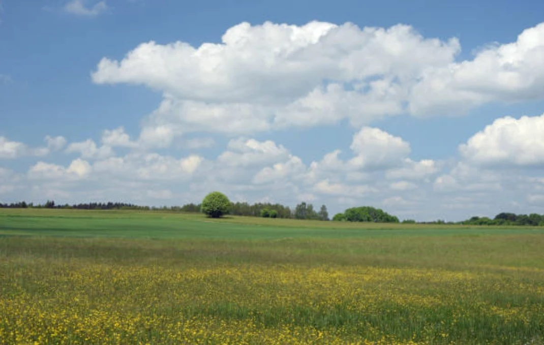 Ebene im Traum