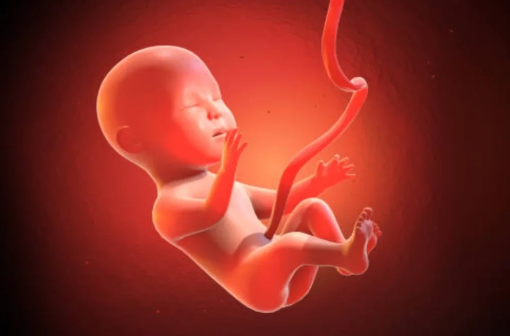 Embryo im Traum