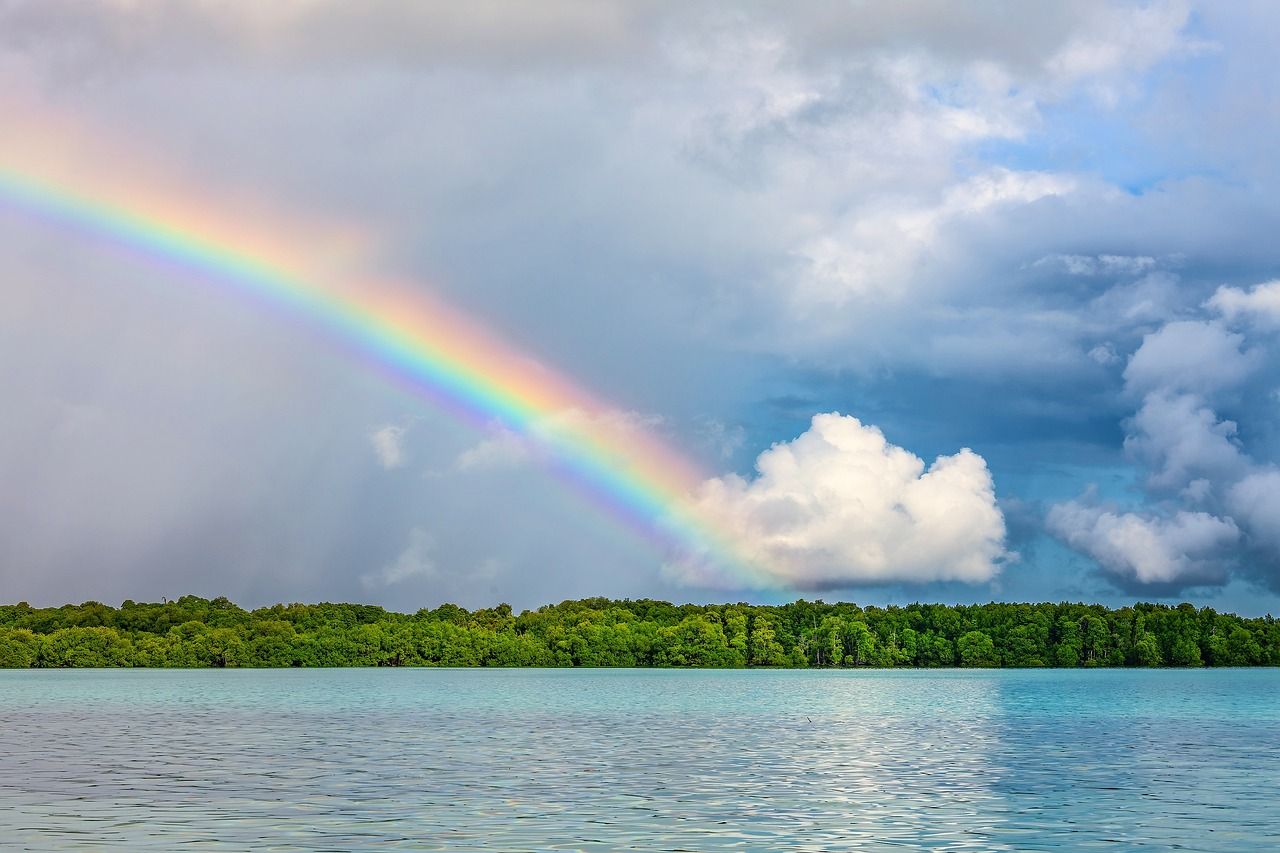 Regenbogen im Traum