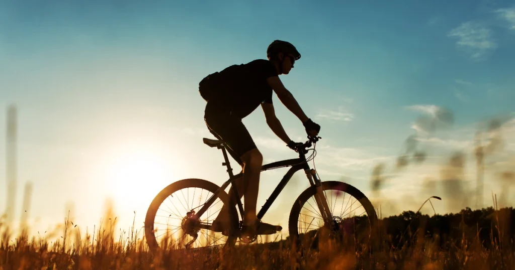 traumdeutung fahrrad fahren