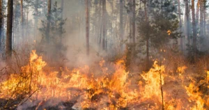 traumdeutung feuer